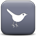 twitter_icon_grey_36x36.png